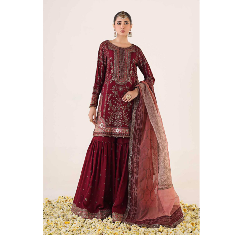 3-PC Gharara Suit On Chiffon AC-302 - Image 6